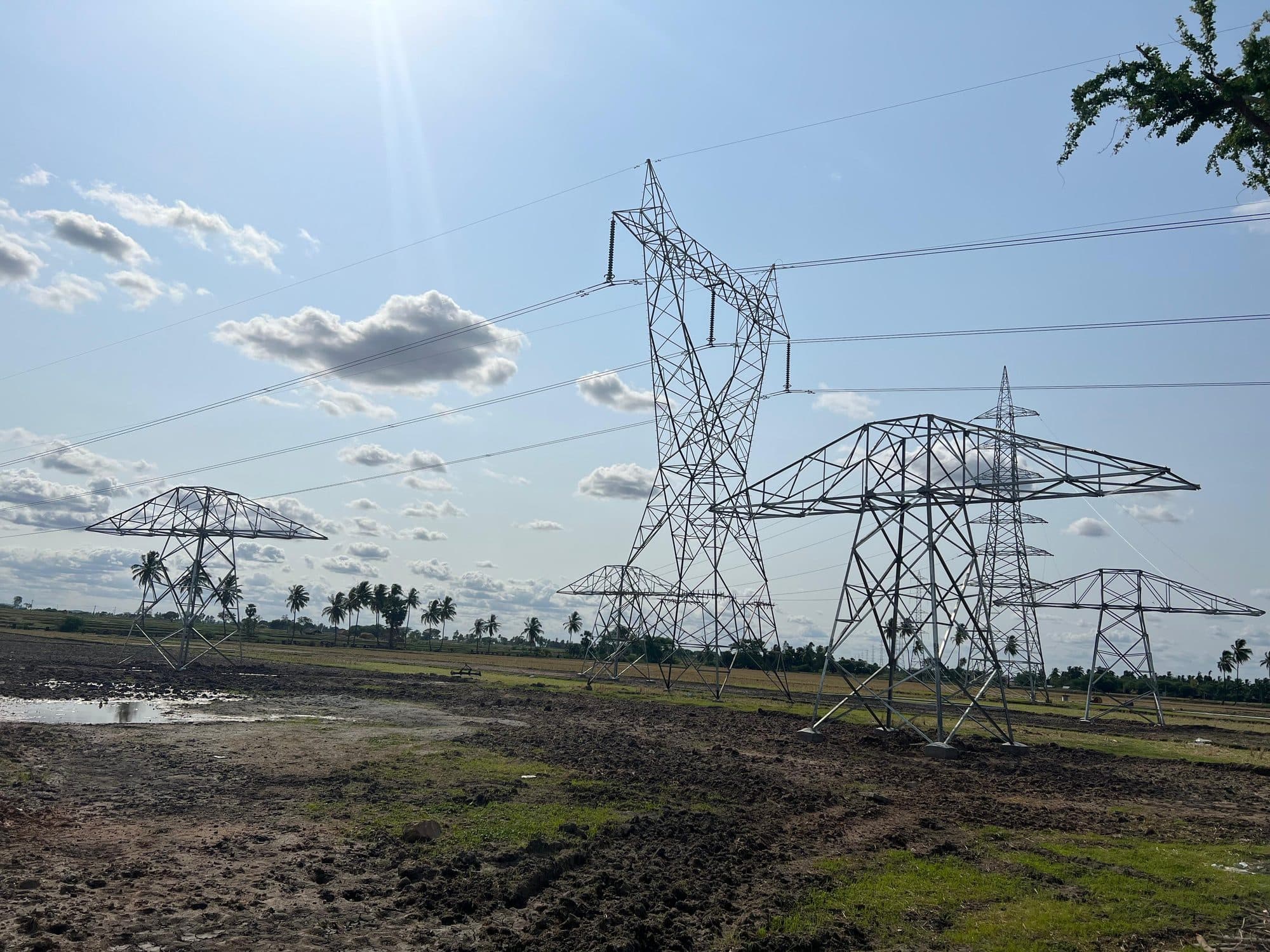 Transmission towers over open fields and palms under a blue sky