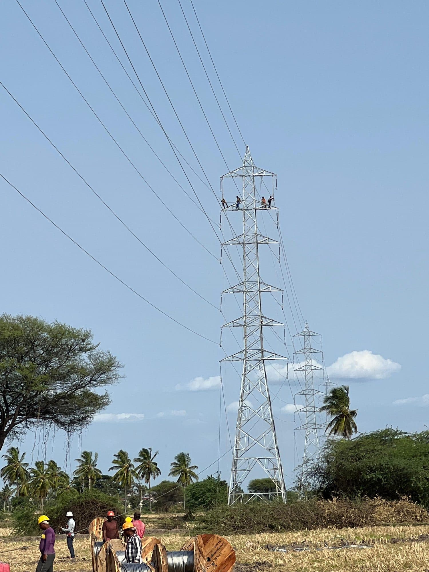 A new transmission tower, the line crew at its foot among the palms
