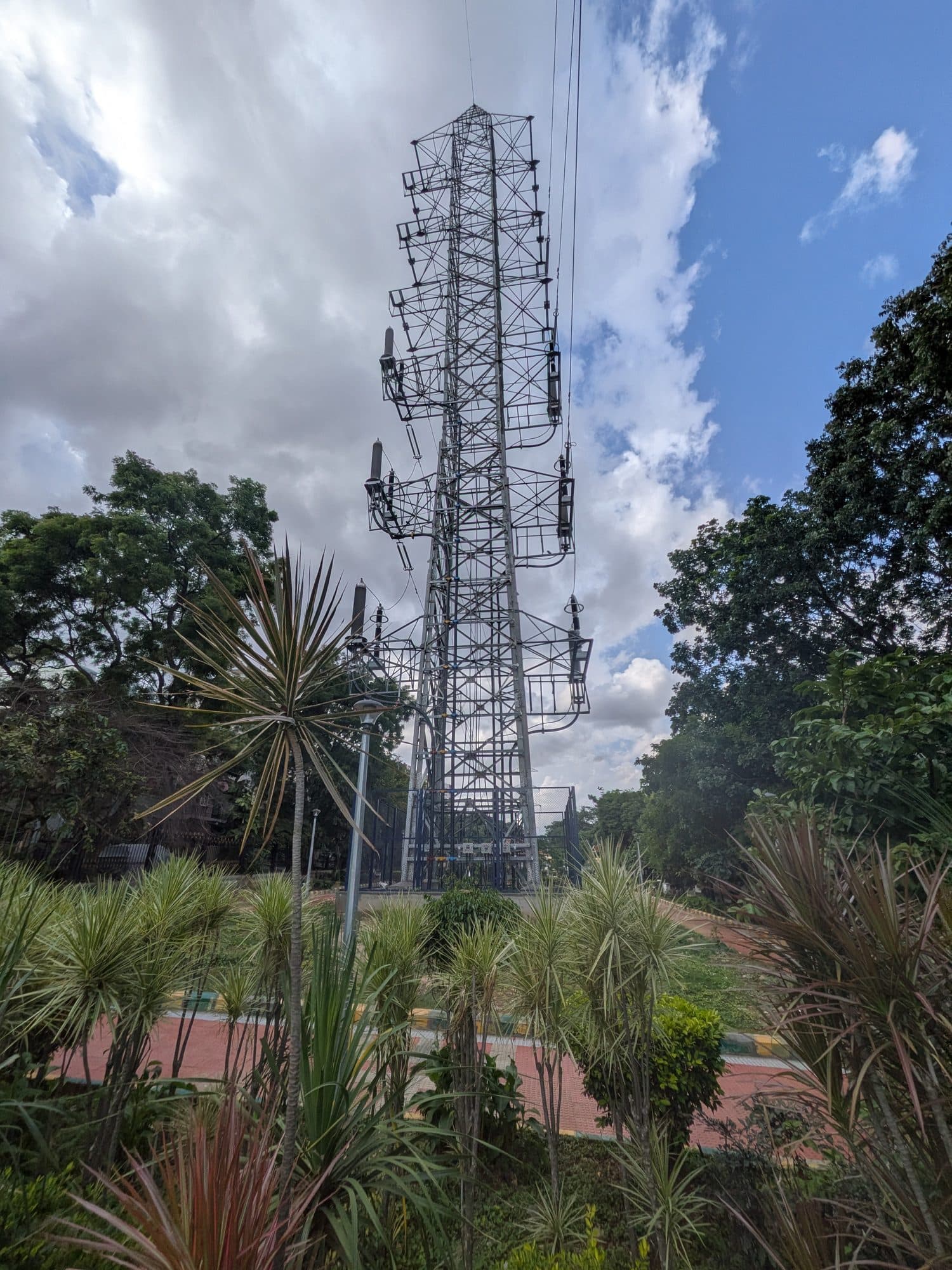 A transmission tower beyond the palms